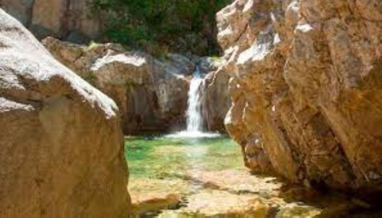 Camping L'Oso Porto-Vecchio  Exterior foto